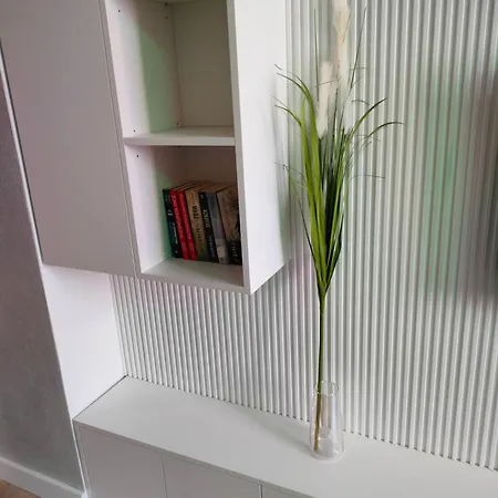 Appartement Paradise Zarzadzany Przez Gospodarza Osobe Fizyczna Self Check In Rzeszów