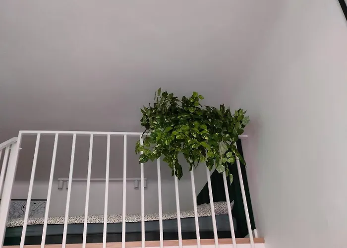 Paradise Zarządzany Przez Gospodarza Osobę Fizyczną Self Check In Apartament *