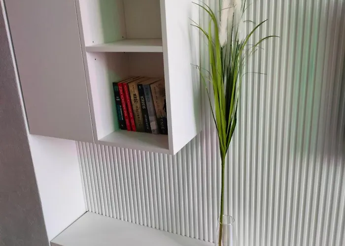 Apartament Paradise Zarządzany Przez Gospodarza Osobę Fizyczną Self Check In Rzeszów