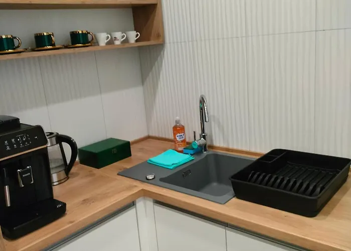 Appartement Paradise Zarzadzany Przez Gospodarza Osobe Fizyczna Self Check In Rzeszów
